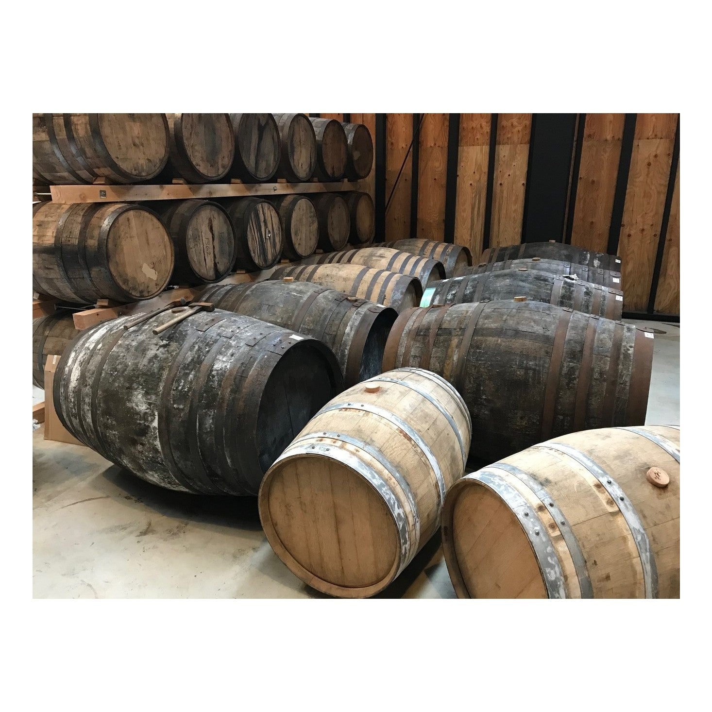 Bunnahabhain 50yo Malt Whisky Cask